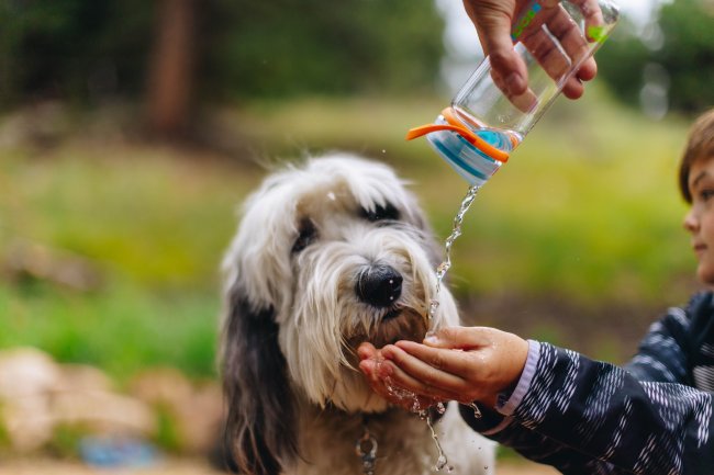 Бутылка для воды HYDRAPAK Recon 0,75L (BR01RB) конфетти Бутылка для воды HYDRAPAK Recon 0,75L (BR01RB) конфетти