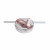 Термокружка STANLEY PROTOUR 0,89L (10-12981-007) розовая